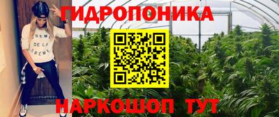 молекула духа Усть-Илимск