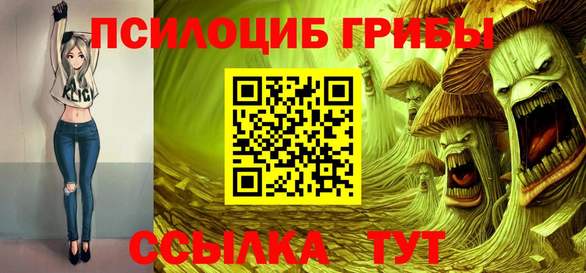 Псилоцибиновые грибы ЛСД Муром