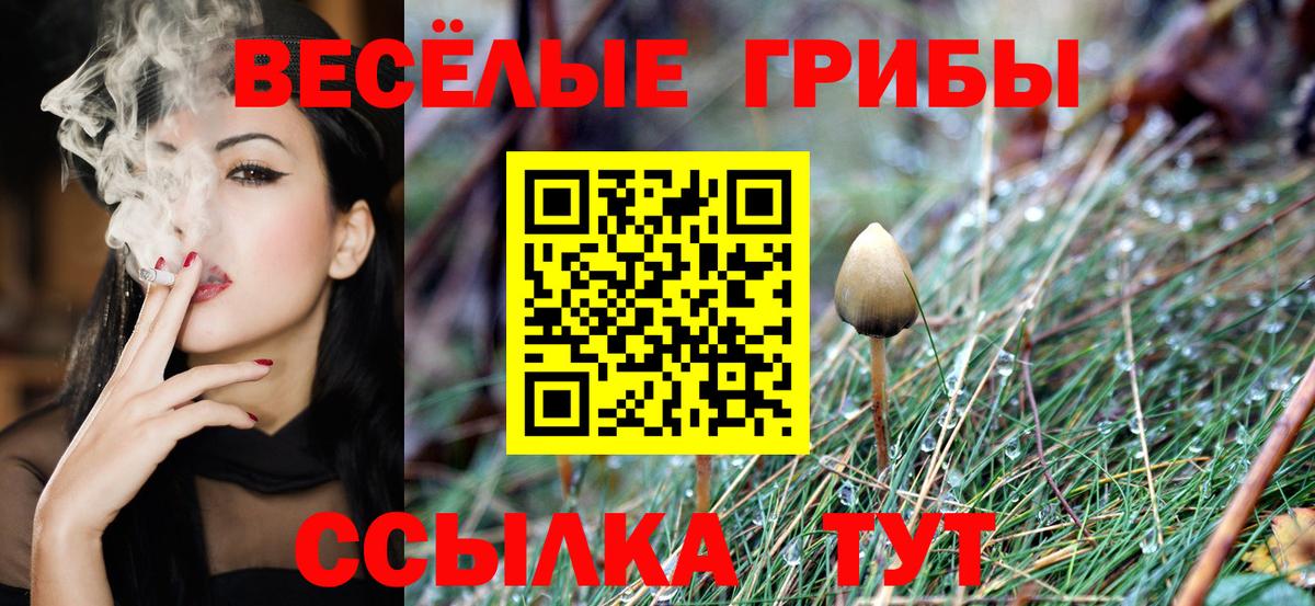 Псилоцибиновые грибы Psilocybe  Вход с VPN  магазин  наркотиков  Муром  Галлюциногенные грибы прущие грибы 
